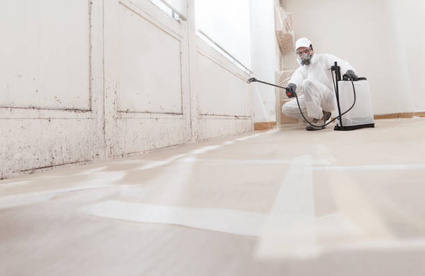 24/7 Emergency Mold Remediation experts in Prospect Heights, IL