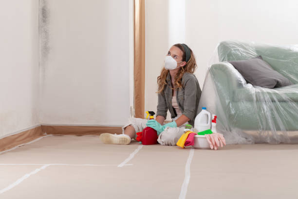 Reliable Mold Remediation contractor in Prospect Heights, IL by 24 Hour Mold Removal